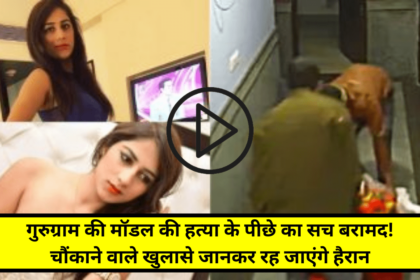 Divya Pahuja Murder Video